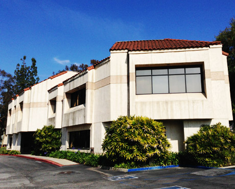 Shenzhen Lvshiyuan Biotechnology Co., Ltd.