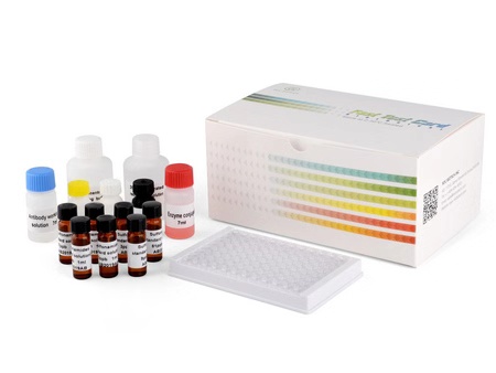Amantadine ELISA Test Kit